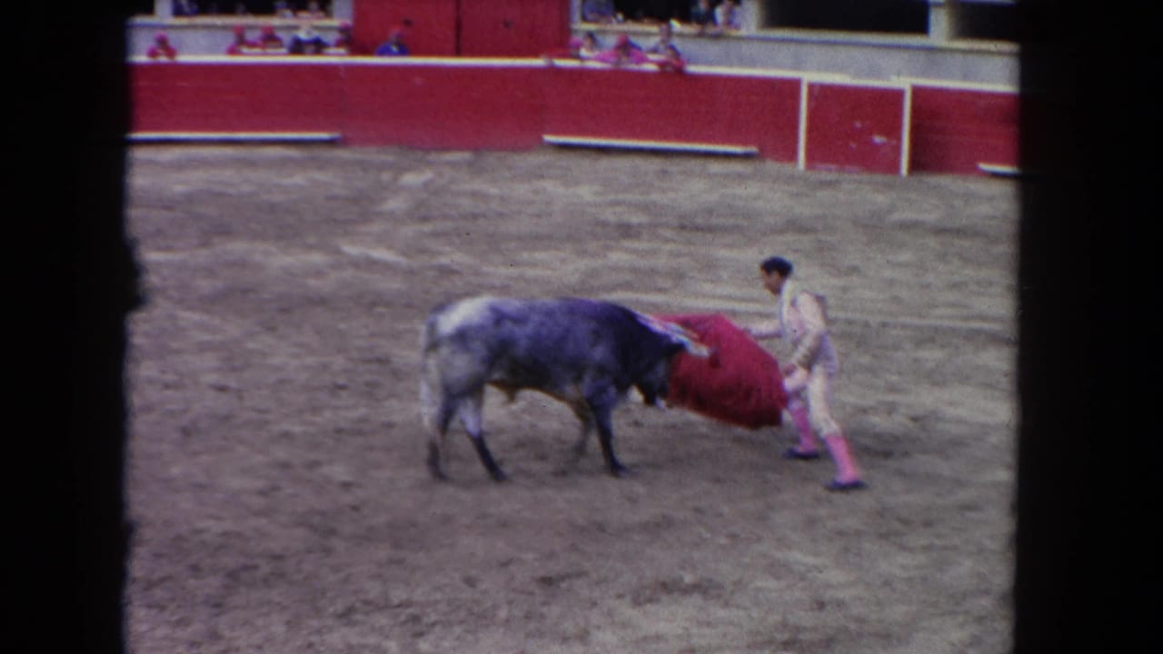 Matador in light suit holds red cape behind his body as the bull turns past; 1962 8mm spectator footage.