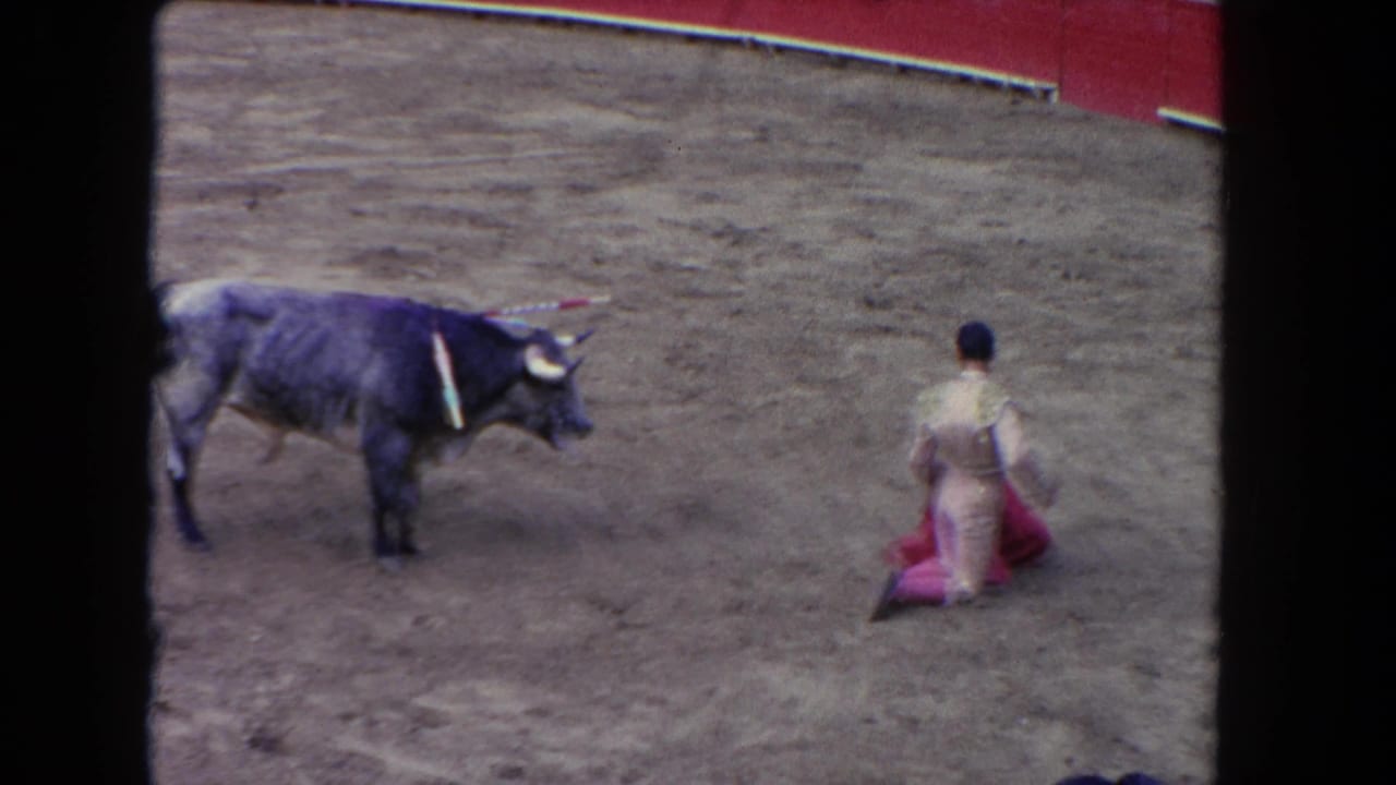 Matador kneeling on dirt arena floor facing a dark bull with banderillas, red cape held low, wide shot from elevated stands.