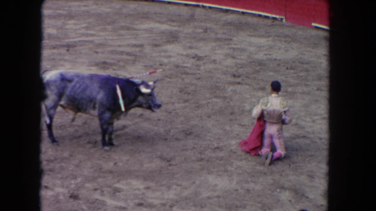 1962 8mm home movie: dark bull bearing banderillas advances toward kneeling matador in Los Angeles arena, red barrera wall visible in background.