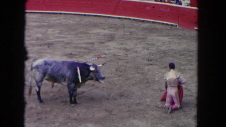 1962 8mm home movie: matador on knees with cape in bullfighting arena, dark bull in close proximity, red barrera wall visible, Los Angeles.