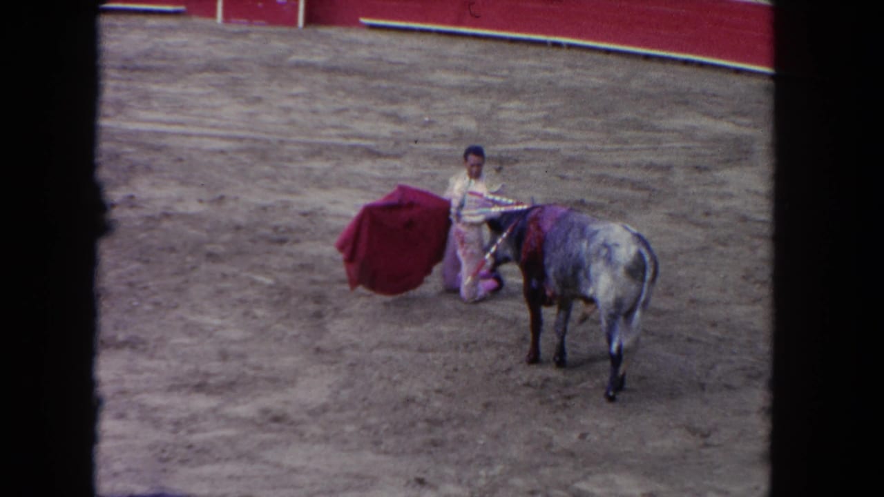 8mm home movie, circa 1962: matador in pink suit of lights beside a grey bull with red cape extended in a sandy corrida arena.