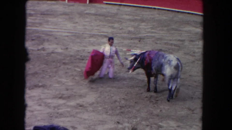 8mm home movie, circa 1962: matador in suit of lights performing a low cape pass as a horned grey bull charges across the sandy arena floor.