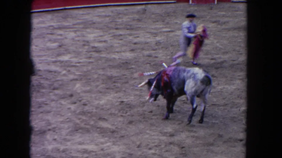 Matador in pink embroidered suit and blue montera hat passes the red muleta near a bull with banderillas, circa 1962 Los Angeles corrida event.