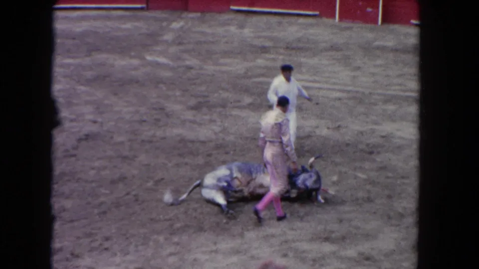 A matador in pink traje de luces and an assistant in white stand beside the fallen bull near the arena's red barrera; Los Angeles, circa 1962.