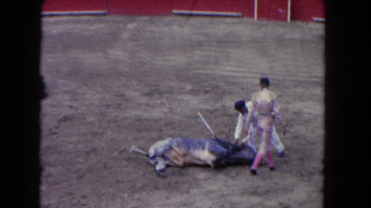 Fallen bull with two ring attendants on the sandy arena floor, 8mm home-movie footage from a bullfighting ring, circa early 1960s.