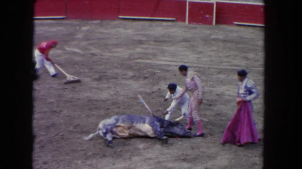 Matador in pink and magenta cape attends a fallen bull as a ring worker rakes the arena; cuadrilla members in white nearby, 8mm footage circa 1962.