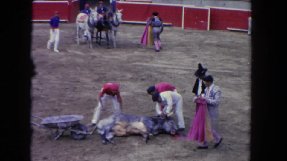 8mm frame circa 1962 showing bullfight aftermath: handlers attending the fallen bull, a pink-caped matador standing nearby, and a white mule team at the barrera.