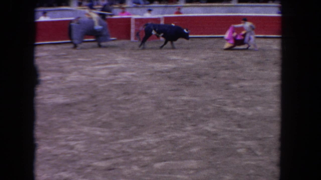 Wide 8mm shot of a bullfighting arena, circa 1962: dark bull moving right, matador in pink visible at edge, red barrera and spectators in background.