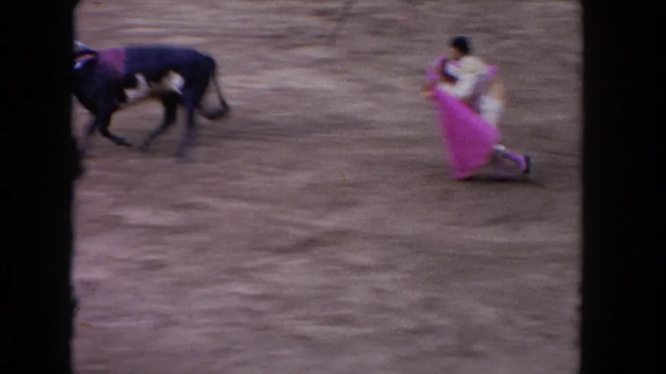 Close-quarter pass: bull lunging toward matador's bright pink/magenta cape in a sandy bullring, circa 1962 Los Angeles.