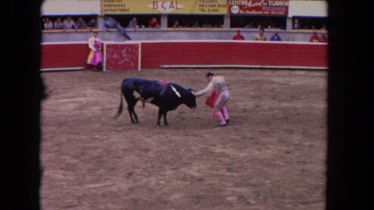 Wide view of a bullfighting arena circa 1962; matador in traje de luces confronts a dark bull; B.CAL and Tijuana-area advertising signs on red barriers.