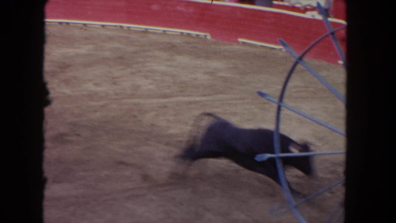 Dark bull close to a curved blue metal gate at the edge of a sandy arena, framed by heavy film-edge vignetting.