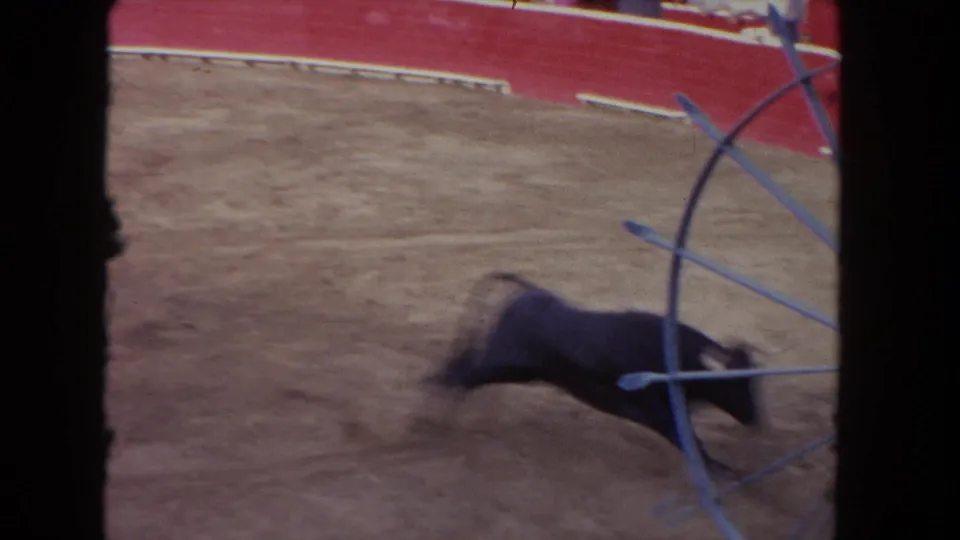 8mm home-movie frame from approximately 1962 showing a dark bull near a curved blue metal barrera gate in a sand-floored bullfighting arena.