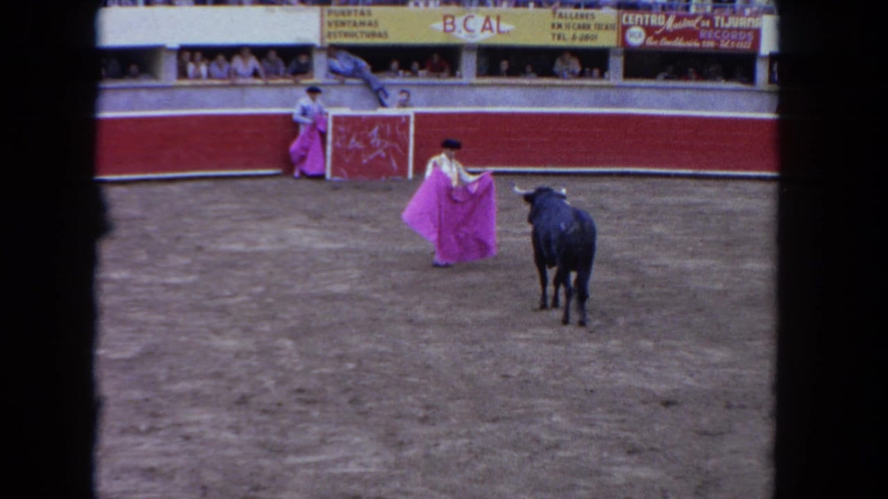 Matador holds pink cape as dark bull faces him in arena, advertising banners visible on barrier.