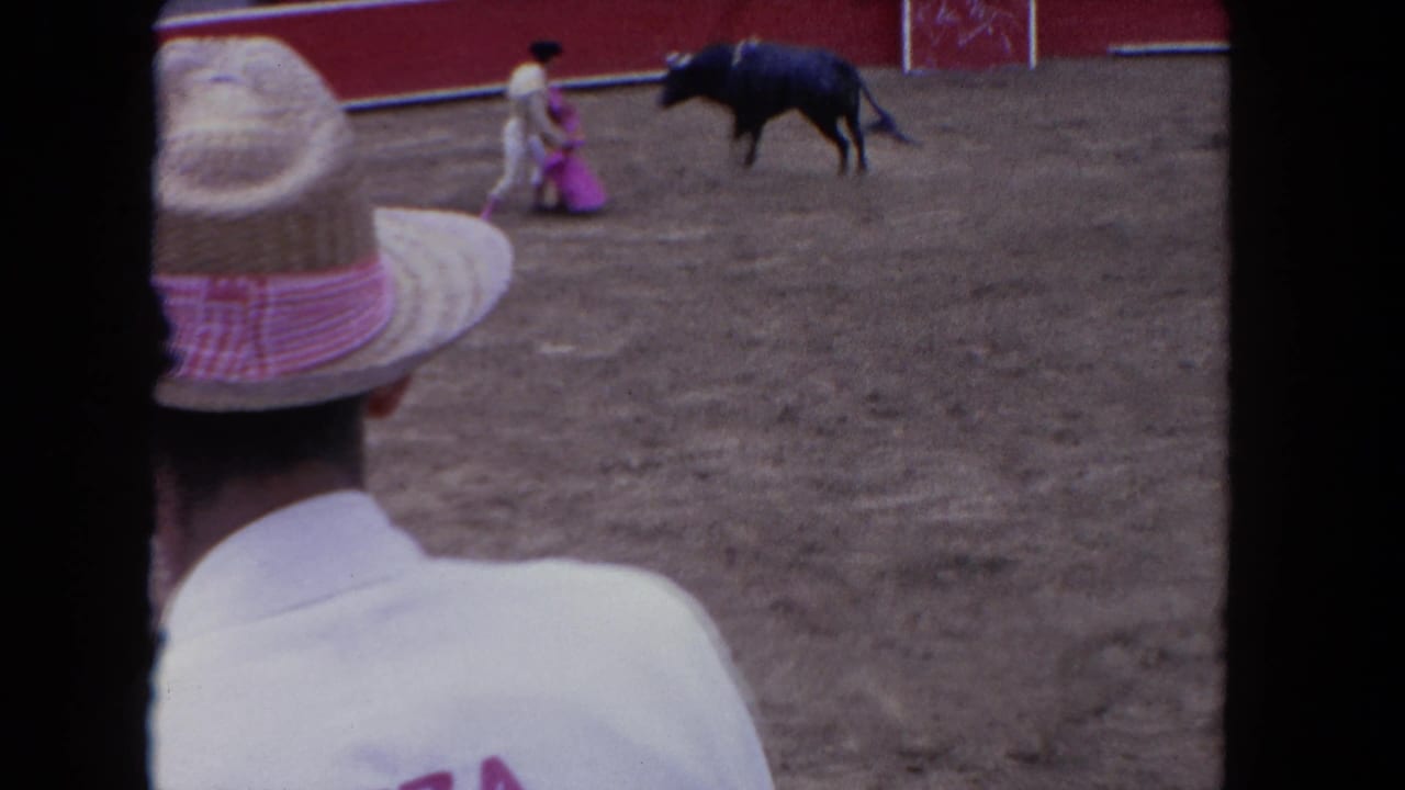 Spectator in straw hat watches bull moving away from matador with cape in arena.