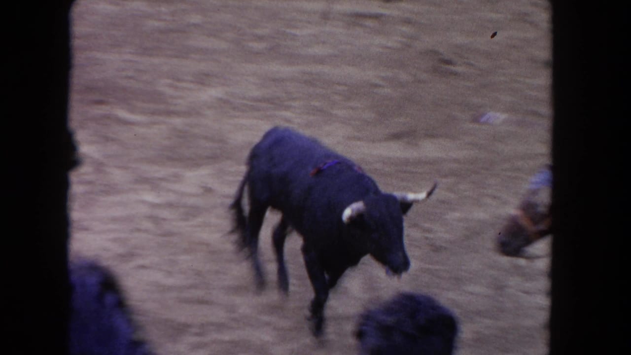 Motion-blurred close shot of a black bull with horns crossing a dirt arena; a dark partial figure appears at the right edge of frame.