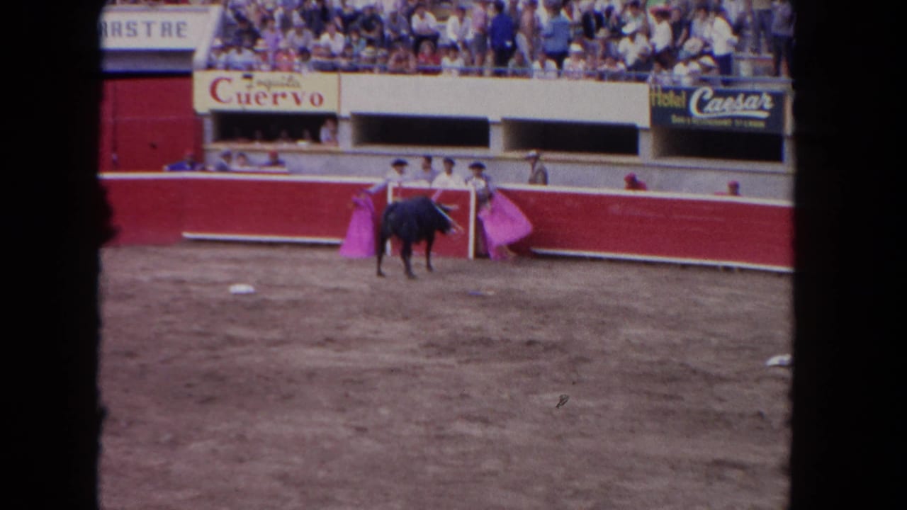 1962 Los Angeles arena scene with a black bull near matadors, pink capes, crowd seating, and visible signage.