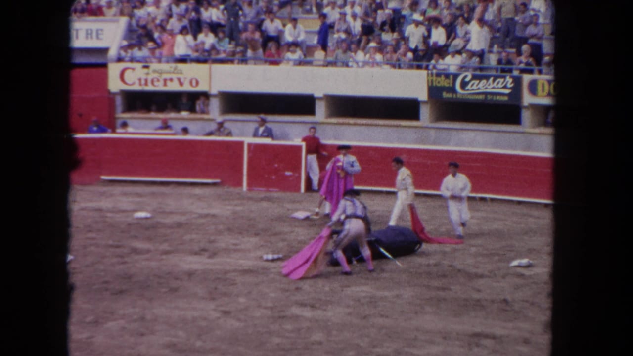 1962 Los Angeles arena footage shows a matador and assistants attending to a bull lying near the red barrier as spectators look on.