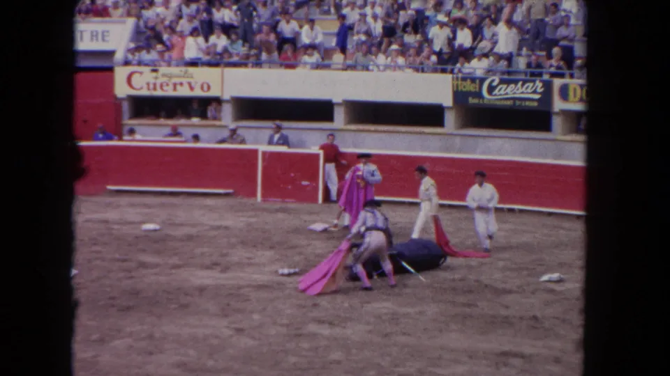 1962 Los Angeles arena footage shows a matador and assistants attending to a bull lying near the red barrier as spectators look on.
