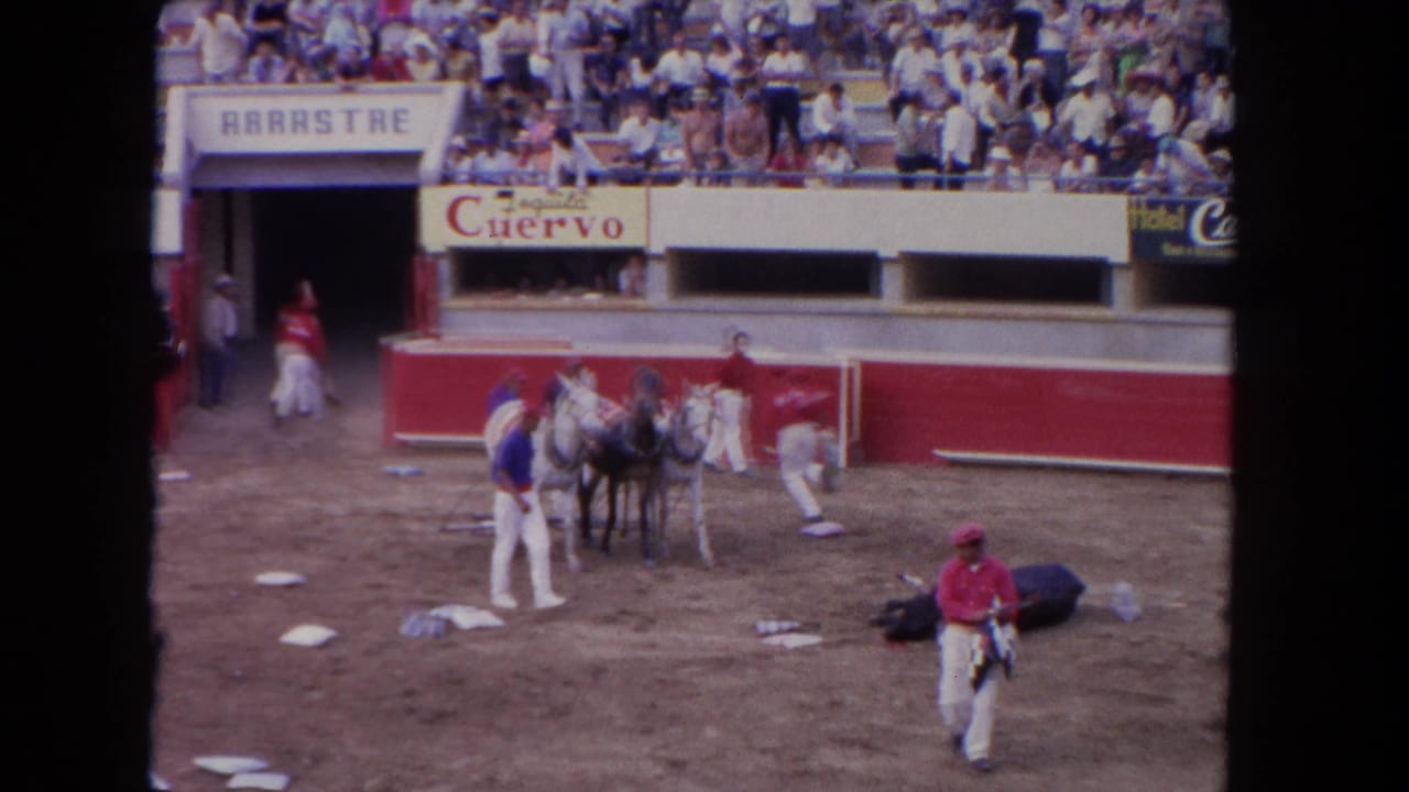 In the Los Angeles bullring scene, attendants gather three horses near a motionless bull as spectators fill the stands above signage.