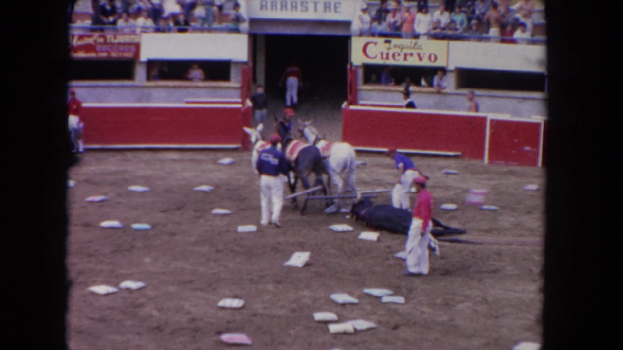 Mounted riders and attendants surround a bull on the arena floor.