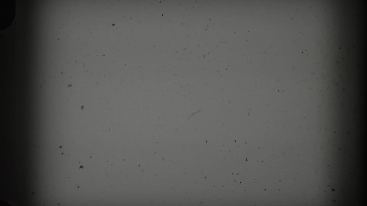 Speckled blank film frame with dark vertical edge shadows.