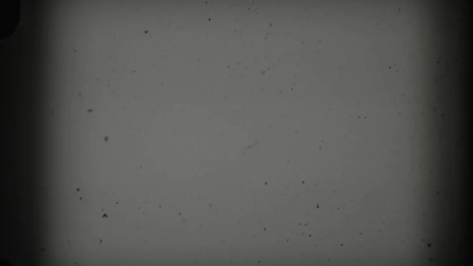 Blank, speckled 8mm frame with dust, soft exposure, and dark gate edges from the 1962 home-movie clip.