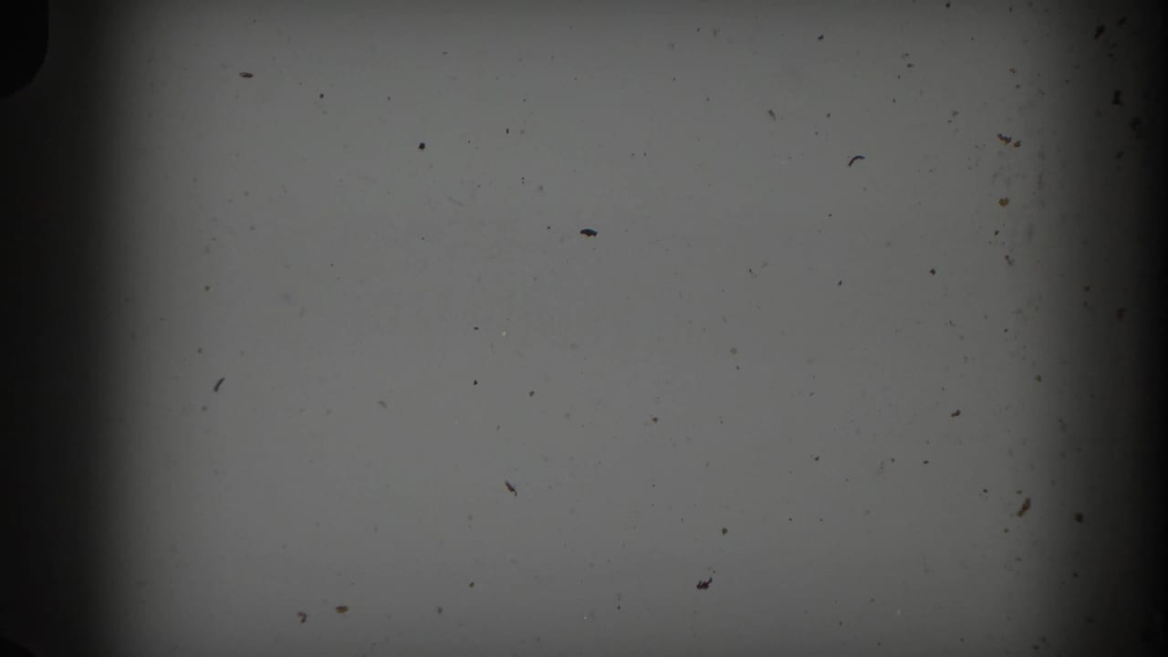 Mostly blank speckled film frame with dark borders.