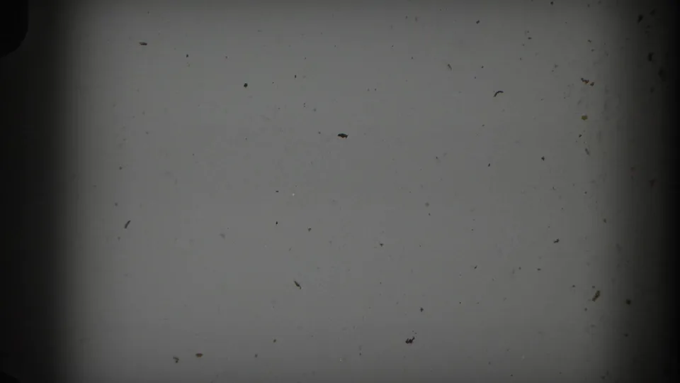 Light gray, mostly blank 8mm frame with visible dust, scratches, and dark edge vignetting from the archival reel.