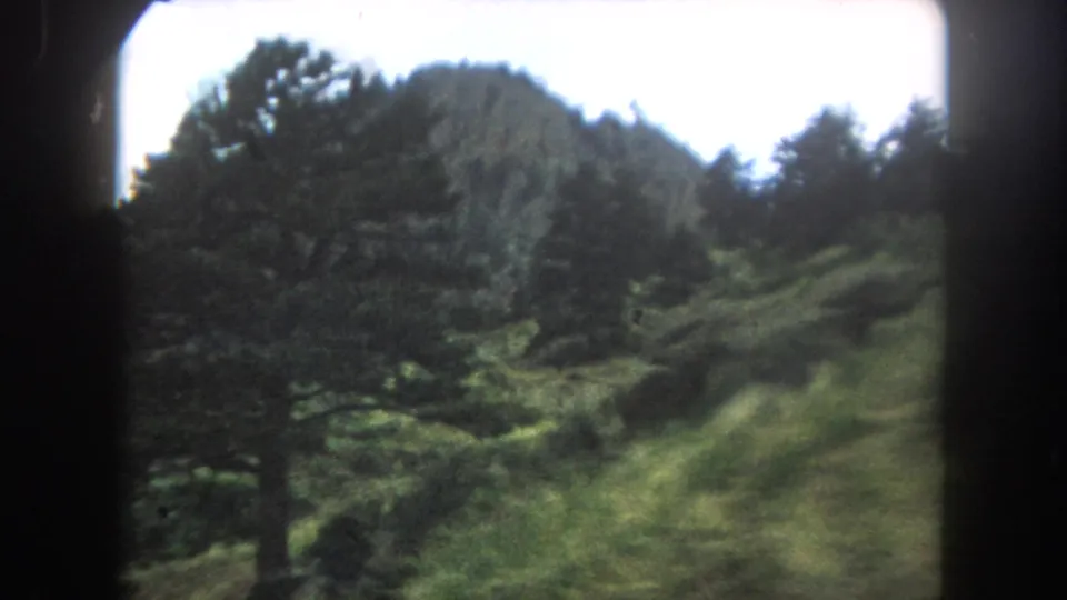 8mm home movie frame showing a rocky mountain peak with pine trees on its slopes and a lens flare at the right edge, likely Colorado high country, circa 1962.