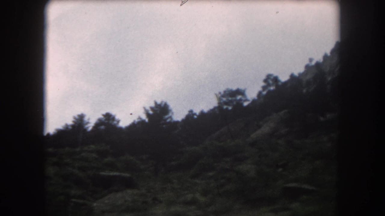 Rocky conifer-covered hillside viewed through car window, overcast sky, 8mm film grain