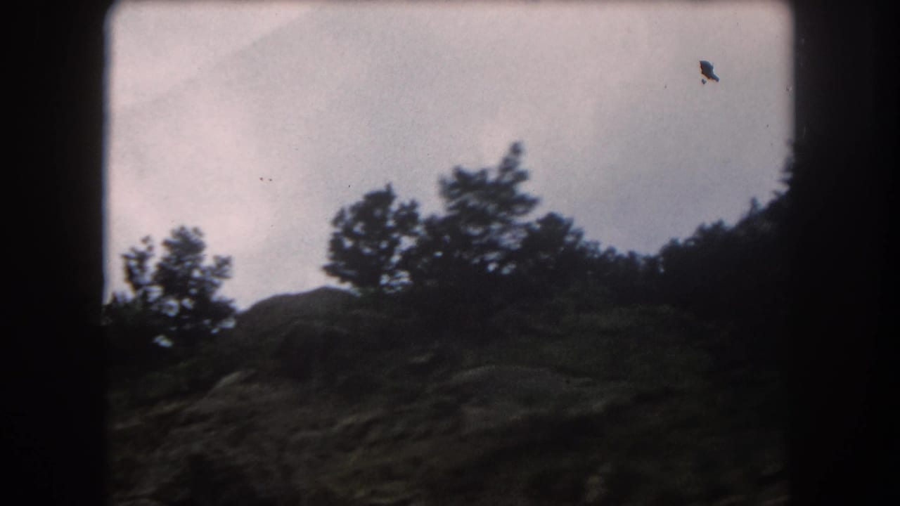Rocky outcroppings with conifer silhouettes against pale overcast sky, small dark object visible upper right