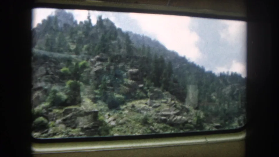 A train passenger's view of steep forested slopes, possibly along a Colorado mountain railway, circa 1962.