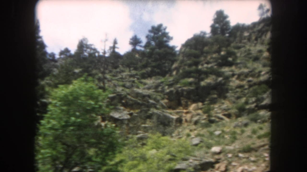 Rocky wooded slope with evergreen trees and exposed boulders under a partly cloudy sky.