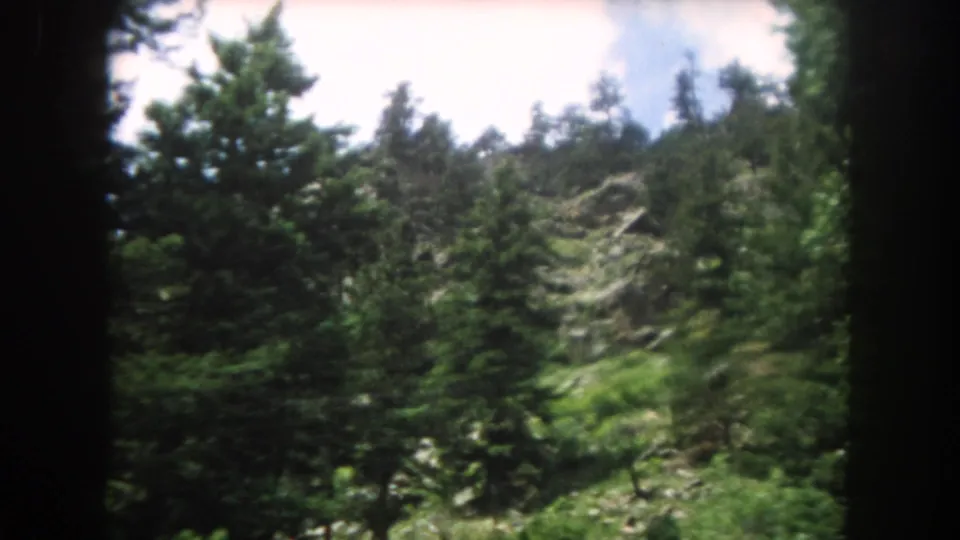 8mm frame circa 1962 showing conifer treetops in horizontal pan with pale sky and rocky cliffs in Summit County, Colorado.