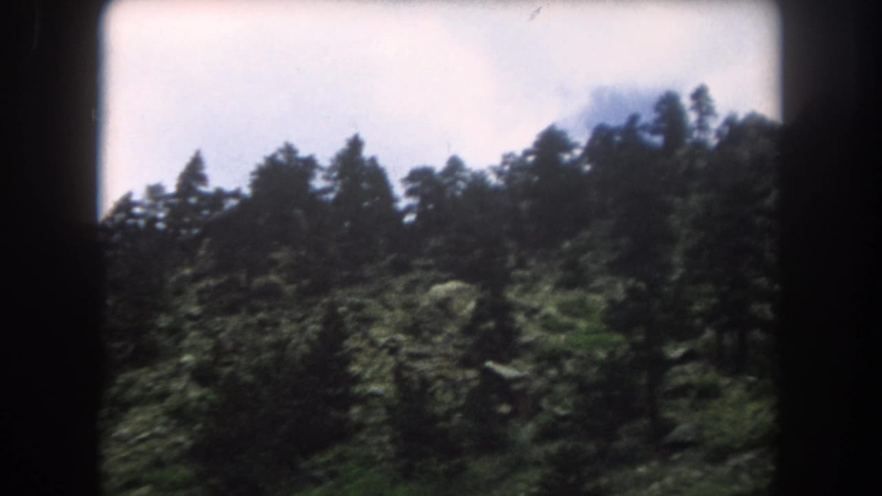 8mm home-movie frame circa 1962 showing a dense conifer-covered slope in Summit County, Colorado, under a pale overcast sky.