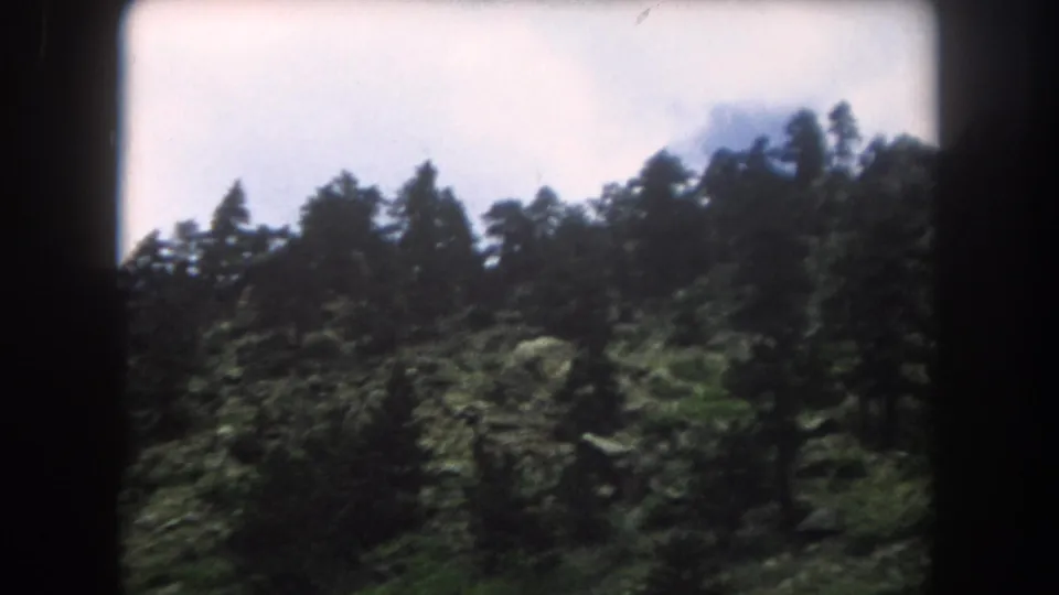 8mm home-movie frame circa 1962 showing a dense conifer-covered slope in Summit County, Colorado, under a pale overcast sky.