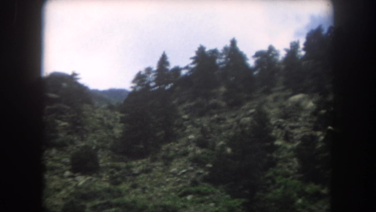 8mm home-movie frame circa 1962 showing a similar angle of the densely forested ridge in Summit County, Colorado.
