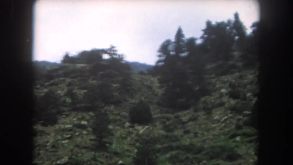 8mm home-movie frame circa 1962 showing a broader ridge view with sparse evergreens at the summit, Summit County, Colorado.