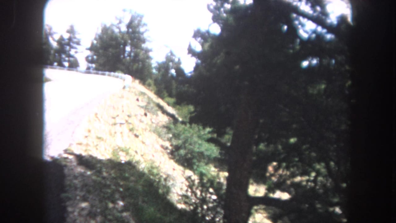 Stone retaining wall alongside a mountain road with dense evergreen trees above and sky in the upper right.