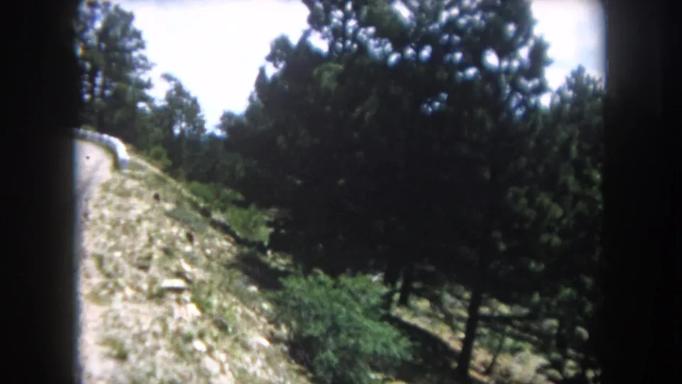 8mm home-movie of pine and evergreen trees alongside a mountain road with rocky terrain, Summit County, Colorado, circa 1962.