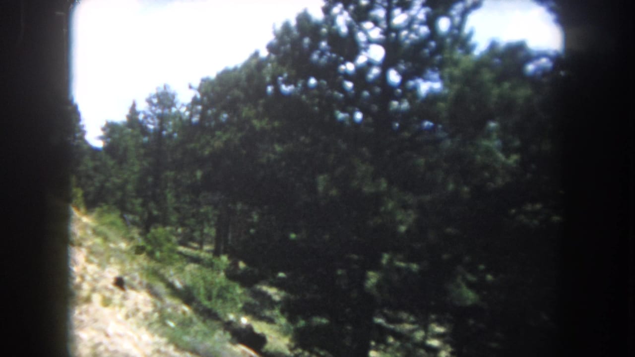 8mm home movie frame from what appears to be Summit County, Colorado, circa 1962, showing a steep wooded slope viewed from a moving vehicle window.