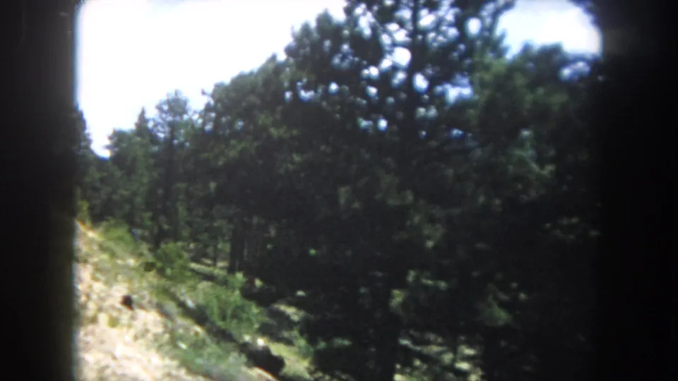 8mm home movie frame from what appears to be Summit County, Colorado, circa 1962, showing a steep wooded slope viewed from a moving vehicle window.
