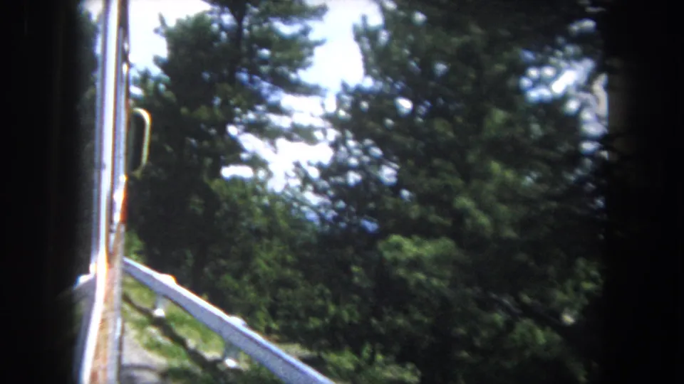 8mm pan shot tilting up through a vehicle window toward pine treetops and bright sky, with white guardrail at lower left, consistent with 1960s Rocky Mountain road travel.