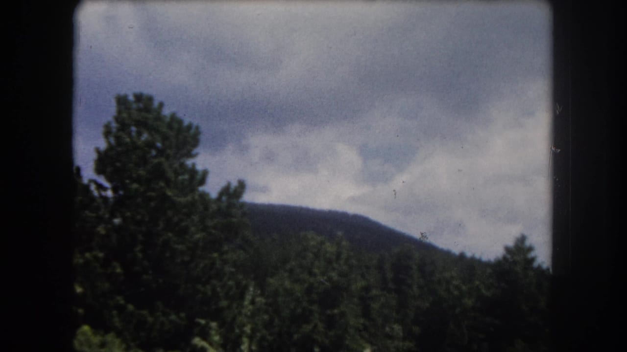Pine trees in foreground with a forested mountain ridge and partly cloudy sky, viewed from a moving vehicle.