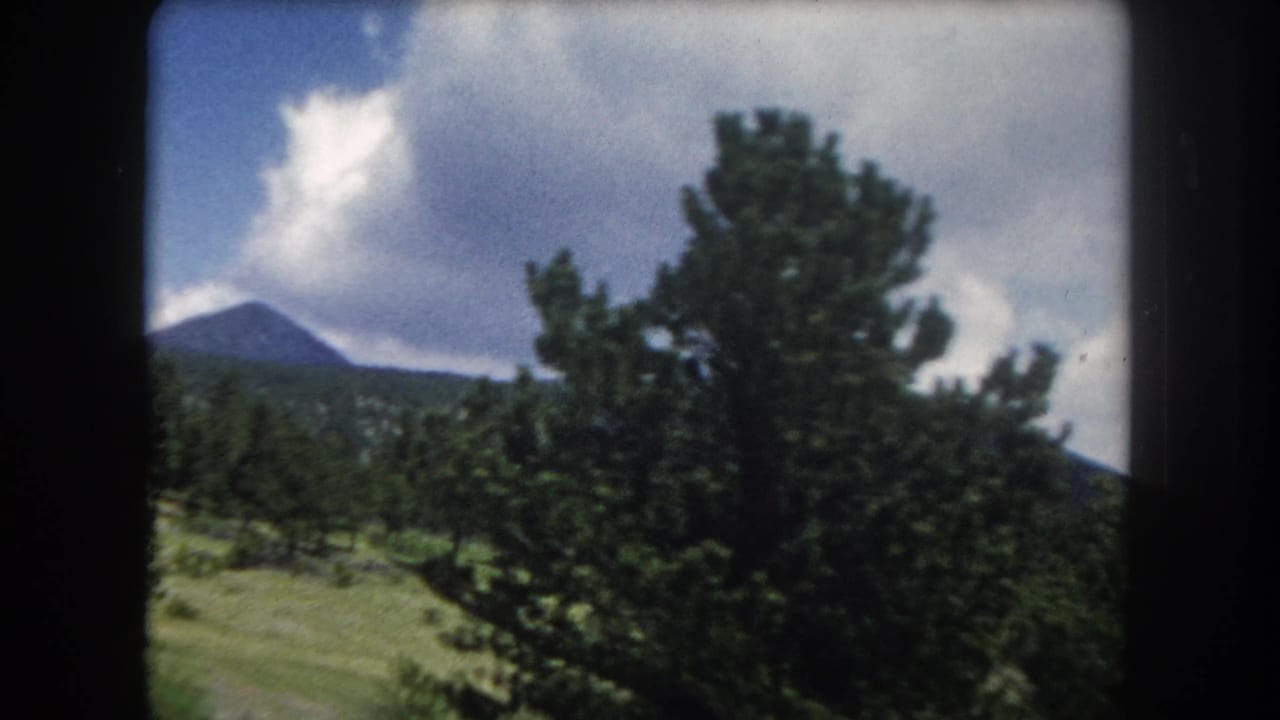 Conifer trees at right with open meadow in mid-ground and a mountain peak visible under a partly cloudy sky.