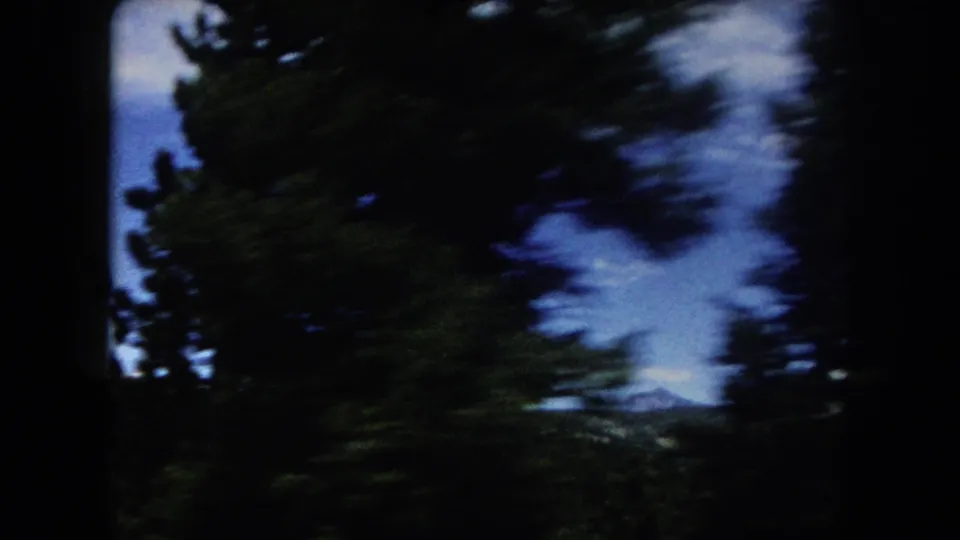 Motion-blurred 8mm frame from 1962 showing close pine branches and sky, reflecting vehicle movement through the Colorado mountain landscape.