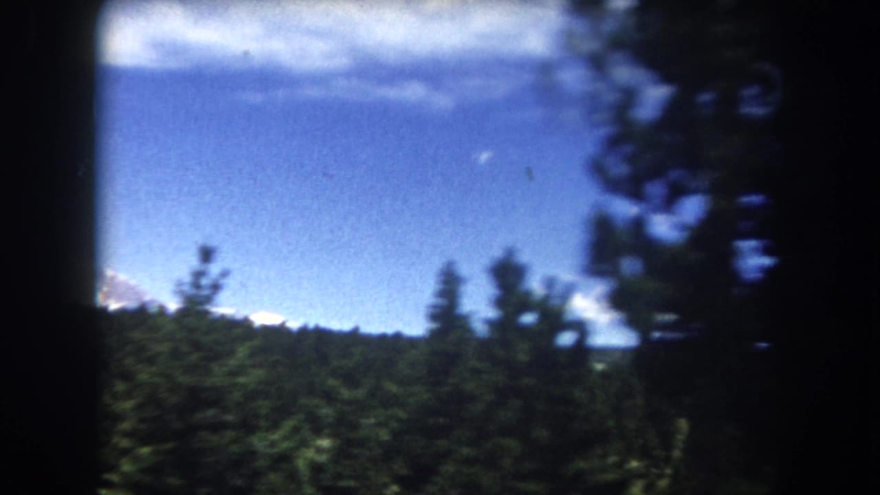 View through a car window of dense pine trees against blue sky, with a snow-capped peak barely visible at the left edge.