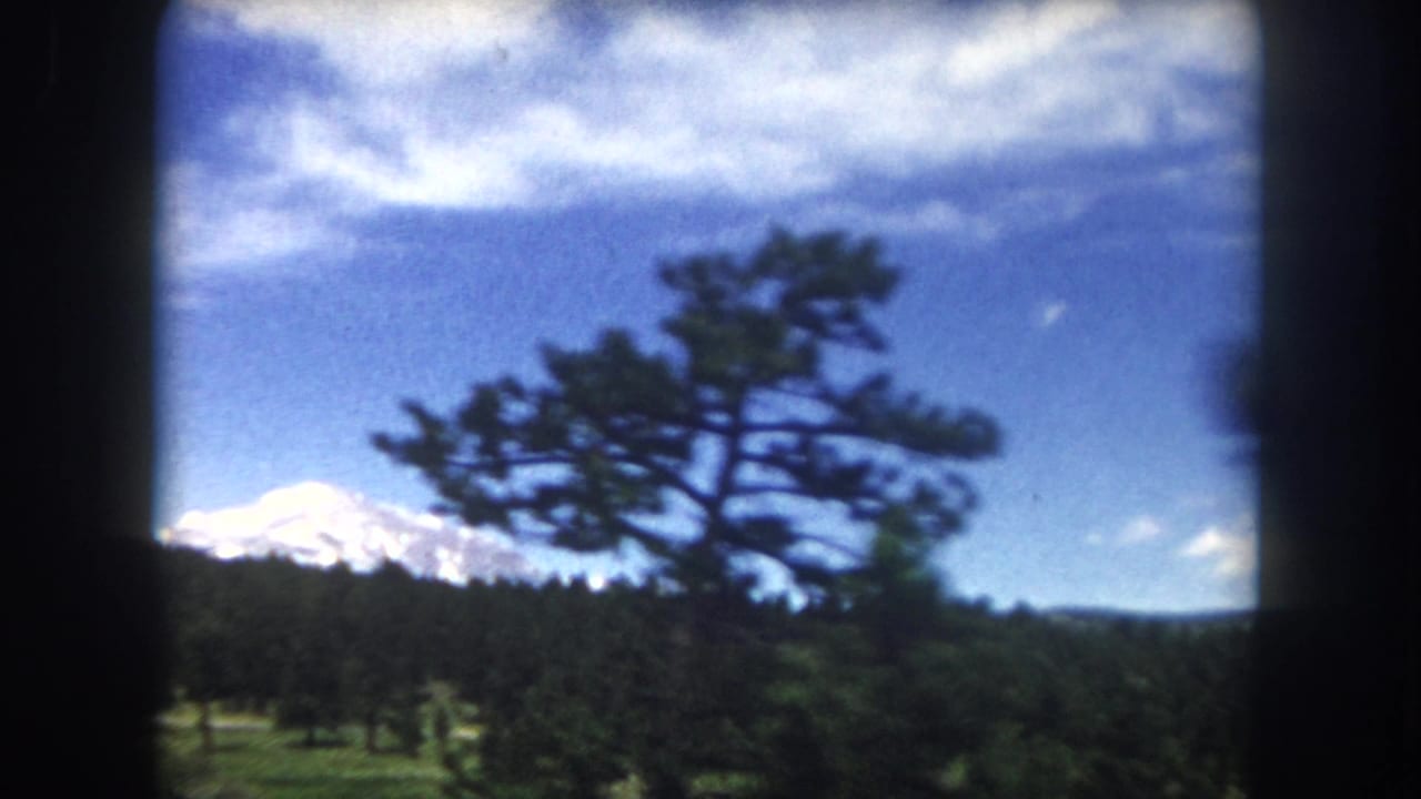 Large foreground pine tree with snow-capped mountain visible above dense evergreen forest, framed by a car window.