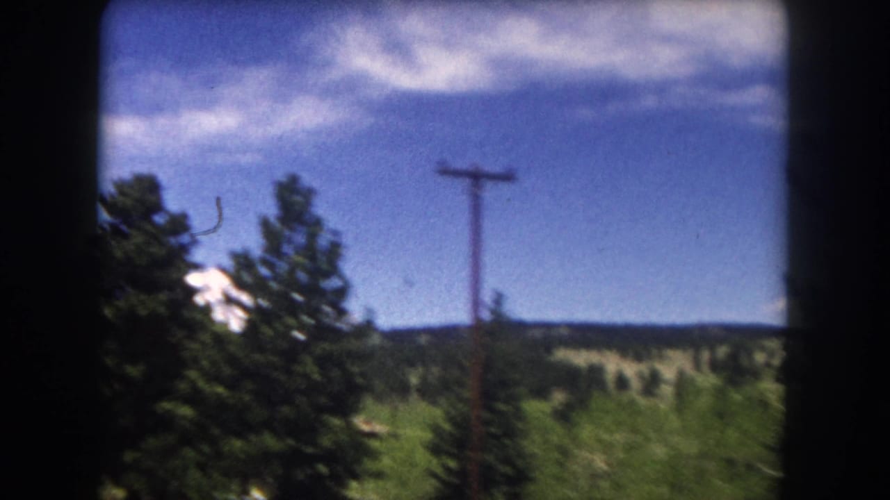 View from a car window of pine forest and rolling hills with a utility pole against a bright blue sky.
