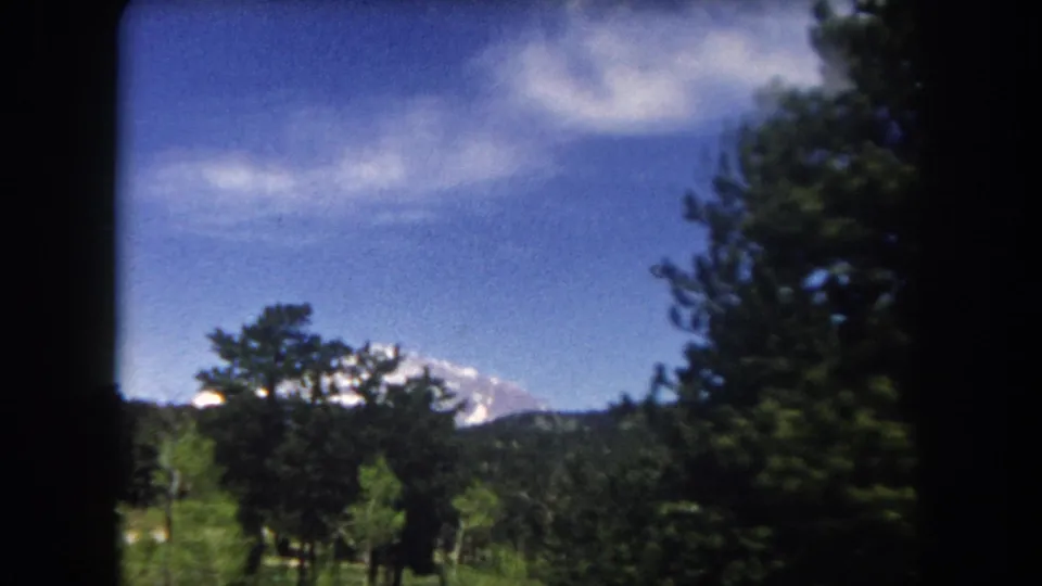 8mm film frame from a moving car, c.1962 Colorado — snow-capped Rocky Mountain peak visible through roadside pine trees with green meadow below.